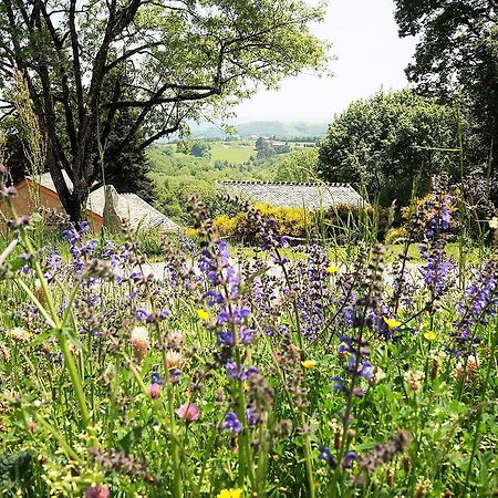 Domaine Des Marequiers Chambre Melilot Bed & Breakfast Saint-Germain-du-Teil Екстериор снимка