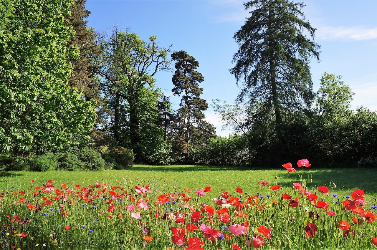 Domaine Des Marequiers Chambre Melilot Bed & Breakfast Saint-Germain-du-Teil Екстериор снимка