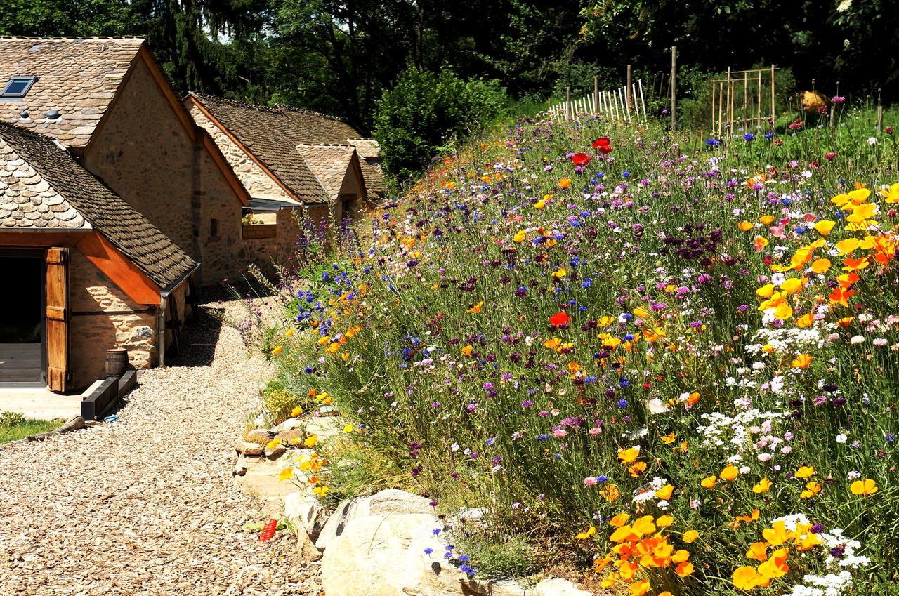 Domaine Des Marequiers Chambre Melilot Bed & Breakfast Saint-Germain-du-Teil Екстериор снимка