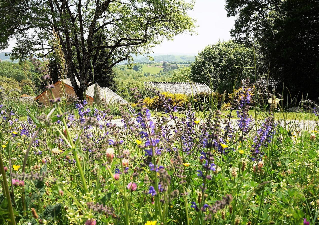 Domaine Des Marequiers Chambre Melilot Bed & Breakfast Saint-Germain-du-Teil Екстериор снимка